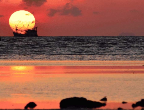 Why Early Morning Walks Are Part of Daily Life in Phuket