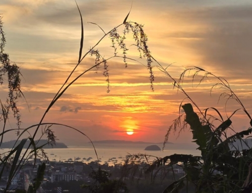 Why Early Risers in Phuket Are Choosing Sunrise Over Sleep