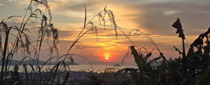 Sunrise overlooking Chalong Bay with silhouettes of tropical plants against a red and orange sky