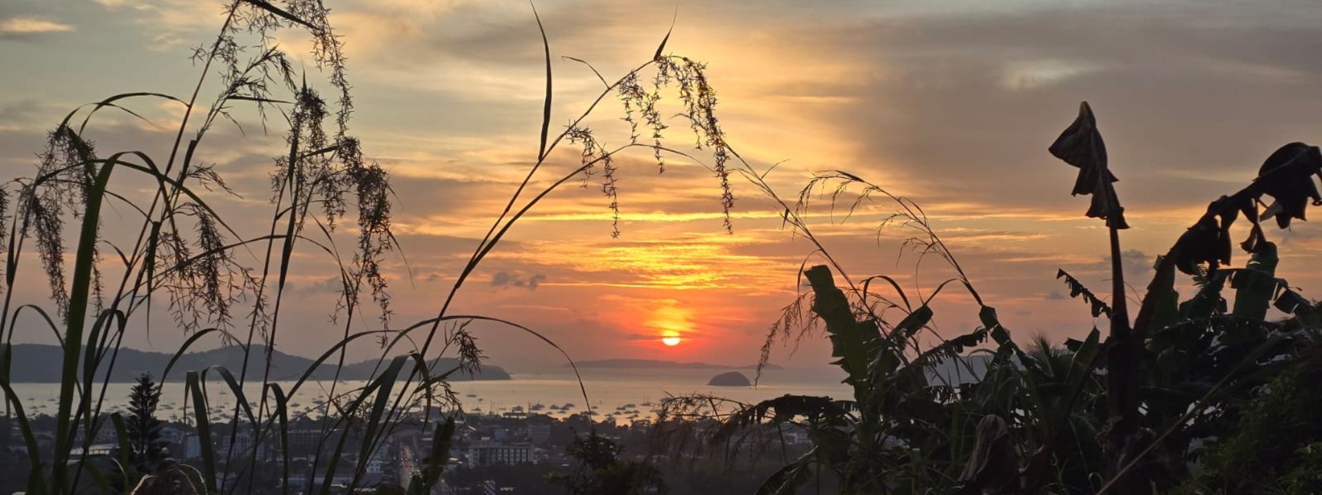 Sunrise overlooking Chalong Bay with silhouettes of tropical plants against a red and orange sky