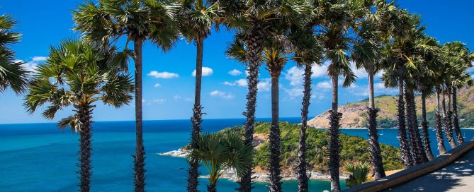 Scenic coastal view at Promthep Cape in Phuket with palm trees, clear blue water and a peaceful residential coastline.