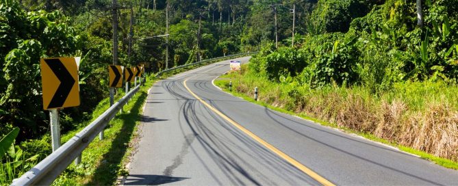 A winding rural road surrounded by dense greenery in Phuket