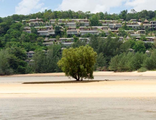 Why Layan Has Transformed From Quiet Coastline to Thriving Lifestyle District