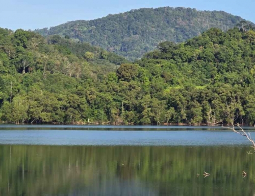 Why Kathu Reservoir is One of Phuket’s Most Beautiful Everyday Walks