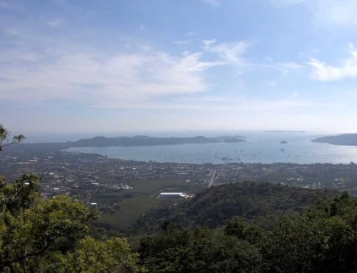 What It’s Like to Live in Chalong: A Local Area Guide