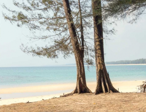 Nai Yang: Phuket’s Most Relaxed Beachside Residential Area