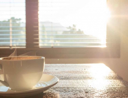 Why Morning Routines Naturally Improve in Tropical Climates